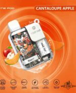Pyne-Pod-8500-Disposable-Vape-Cantaloupe-Apple-