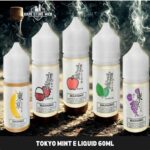 TOKYO MINT E LIQUID 60ML