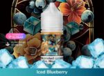 ELFLIQ-NIC-SALTS-Iced-Blueberry-30ML
