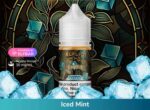 ELFLIQ-NIC-SALTS-Iced-Mint-30ML