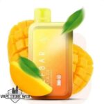 Elfbar Raya D1 13000 puffs Disposable Vape Double Mango