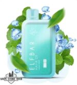 Elfbar Raya D1 13000 puffs Disposable Vape Miami Mint