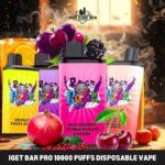 IGET BAR PRO 10000 Puffs Disposable Vape