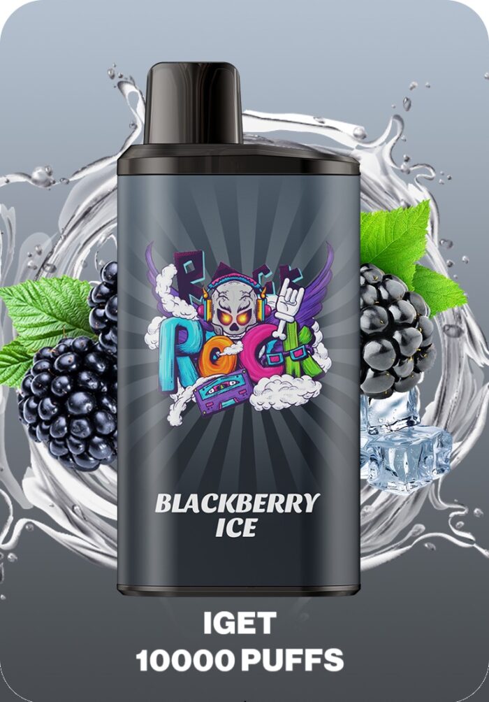 IGET BAR PRO 10000 Puffs Disposable Vape Blackberry Ice