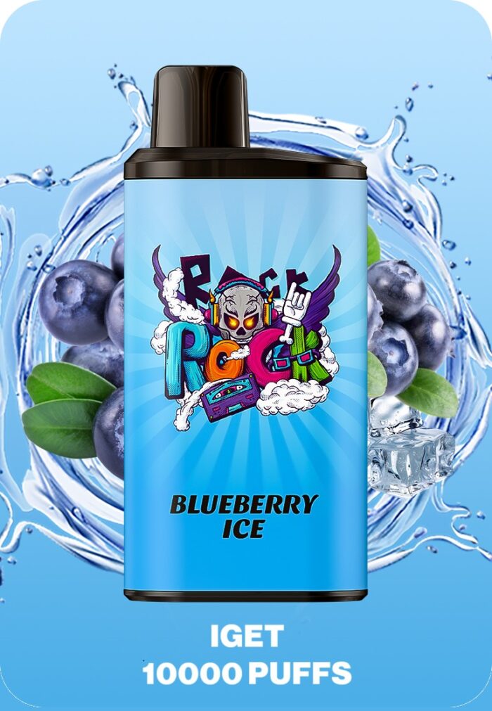 IGET BAR PRO 10000 Puffs Disposable Vape Blueberry Ice