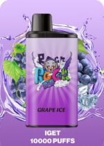 IGET BAR PRO 10000 Puffs Disposable Vape Grape Ice