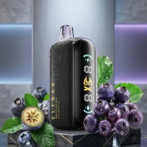elfbar raya d3 pro 30k disposable vape in dubai blueberry ice