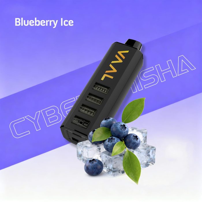 Vaal 50k Disposable Vape in Dubai Blueberry Ice