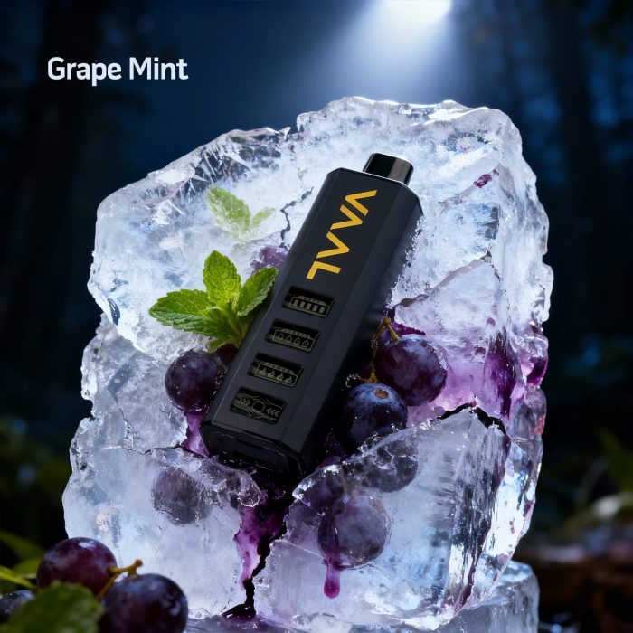 Vaal 50k Disposable Vape in Dubai Grape Mint