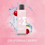 Elfbar ew 9000 puffs 50mg nicotine pods without battery pack in Dubai CHERRY