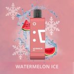 Elfbar ew 9000 puffs 50mg nicotine pods without battery pack in Dubai Watermelon Ice