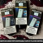 Ignite Ice 40000 Puffs Disposable Vape Icy Flavor Control In The UAE