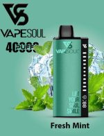 Vape soul 40k disposable vape in Dubai Fresh_Mint