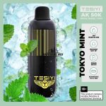 TESIYI AK 50000 Puffs 50mg Disposable Vape in Dubai tokyo mint