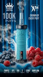 Sultan xtra shisha Dtl 100k puffs 2mg nicotine triple mesh vape in Dubai blueberry raspberry