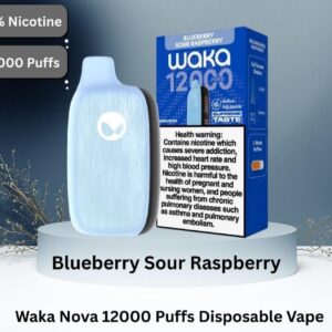 Waka Nova 12000 Puffs 18MG Disposable Vape In UAE Blueberry Sour Raspberry