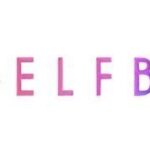 elfbar